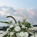 김녕집안목 | 제주도 웨딩스냅 후기