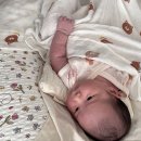 [육아일기] 생후 5주차(29~34일) | 초보맘의 신상아 혼자 돌보기, BCG 경피용, B형간염, 쪽쪽이거부...