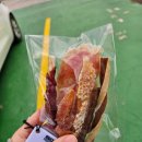 솜마가 | 경주 애견동반풀빌라 솜마애견풀빌라 숙박후기
