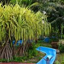 짬사우나헬스 이미지