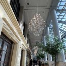 정부청사 14-1동 로비 | [대전 웨딩홀] 메종드보네르 신부대기실 직입장·단독 연회장 VIP룸 + 27년 견적공유