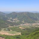영천 티스토리