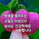 한점 이미지