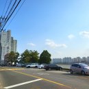 일지리버@ 인근 쉼터 공중화장실 | [울산 북구 명소] 가족과 봄맞이 나들이 가기 좋은 곳, 샛노란 꽃들의 아름다운 향연을 볼 수 있는...