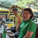 곡성-225 이미지