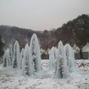 가평썰매장 Daum카페