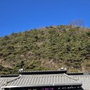 풍일로(일직면) 이미지