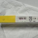 원포쓰리 | 쓰리라인임테기 사용 후기 원포 역전후 아기집 난황 심소 확인시기