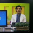 아빠 까바르 인도네시아 회화 초급 이미지