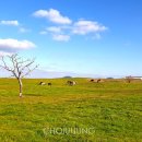 선양목장 이미지