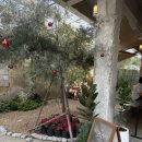 르노삼성자동차지정정비코너공항점 | Day5 (1) - 치앙마이 잠시 빠이(타이툰반 콘지, 치앙마이에서 빠이 가는 미니밴 후기, 태국 멀미약)