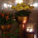 호박DMC공인중개사사무소 이미지