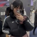 숏스트리트(SHORT_ST) | 아디다스 숏패딩 vs 아디다스 조끼패딩, 유희 패딩까지 직접 입어본 겨울 아우터 총정리