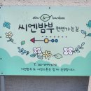 씨엔밤부 이미지