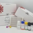 SG메디칼 이미지