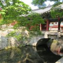 순천-45호 이미지