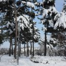 덕유산휴게소 이미지