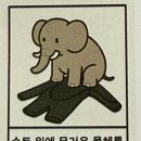 블루크리에이티브 | [내돈내산] 프리다이빙 스프링슈트 추천 글라이드스킨 오션블루컬러 구매 후기