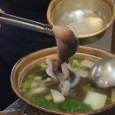 술딴지 이미지