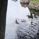 월지농장 이미지