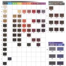 비비드 수헤어 이미지