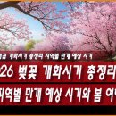 황령산순환도로 | 2026 벚꽃 개화시기 총정리, 지역별 만개 예상 시기와 봄 여행 추천