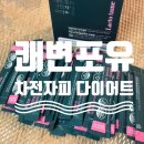 락토테미_쾌변포유 차전자피 다이어트_식이섬유_차전자피추천_제품_리뷰_후기