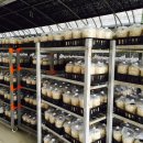 수현농장 이미지