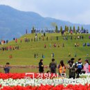 마동동사무소 이미지