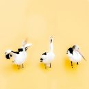 (주)아일랜드스토리 이미지