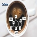 카페인 - 정선군 사북중앙로 46 | 카페인