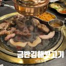 김해뒷고기식당 | [세종] 도담동 뒷마카세 금반김해뒷고기 내돈내산 후기