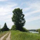 팽성대교 쉼터 이미지