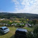 금산사 | 전북 김제 금산사 현지인 맛집 점심식사 미자네 곤드레추어정 추천 방문후기