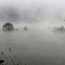 남하대야리 이미지