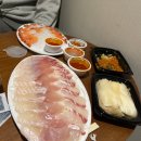 240228 대학입학직전의 (구) 사수생 (ft.제주도)
