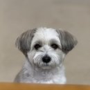 개멋져 | 가을은 정말 멋져🍂