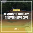 침산1리마을회관 이미지