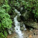 계룡산유아숲체험원 이미지