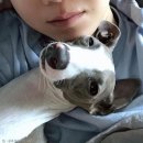 잠꾸러기 - 제천시 탑안로10길 4 | 잠꾸러기