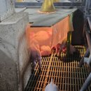 이시돌영농조합법인 이미지