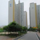 피앤알신경외과의원 Daum카페