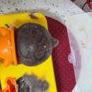 요리 초보 집밥 만들기 이미지