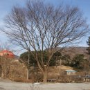 ㈜느티나무 이미지