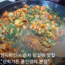양지로 | 용인 양지파인CC 맛집 산학가든 양념 닭갈비 후기