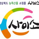 사이소
