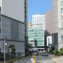 서광자연유치원 이미지