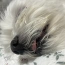 돈짱연탄구이 이미지