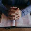 상호기획 이미지