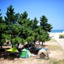 은빛모래야영장 이미지